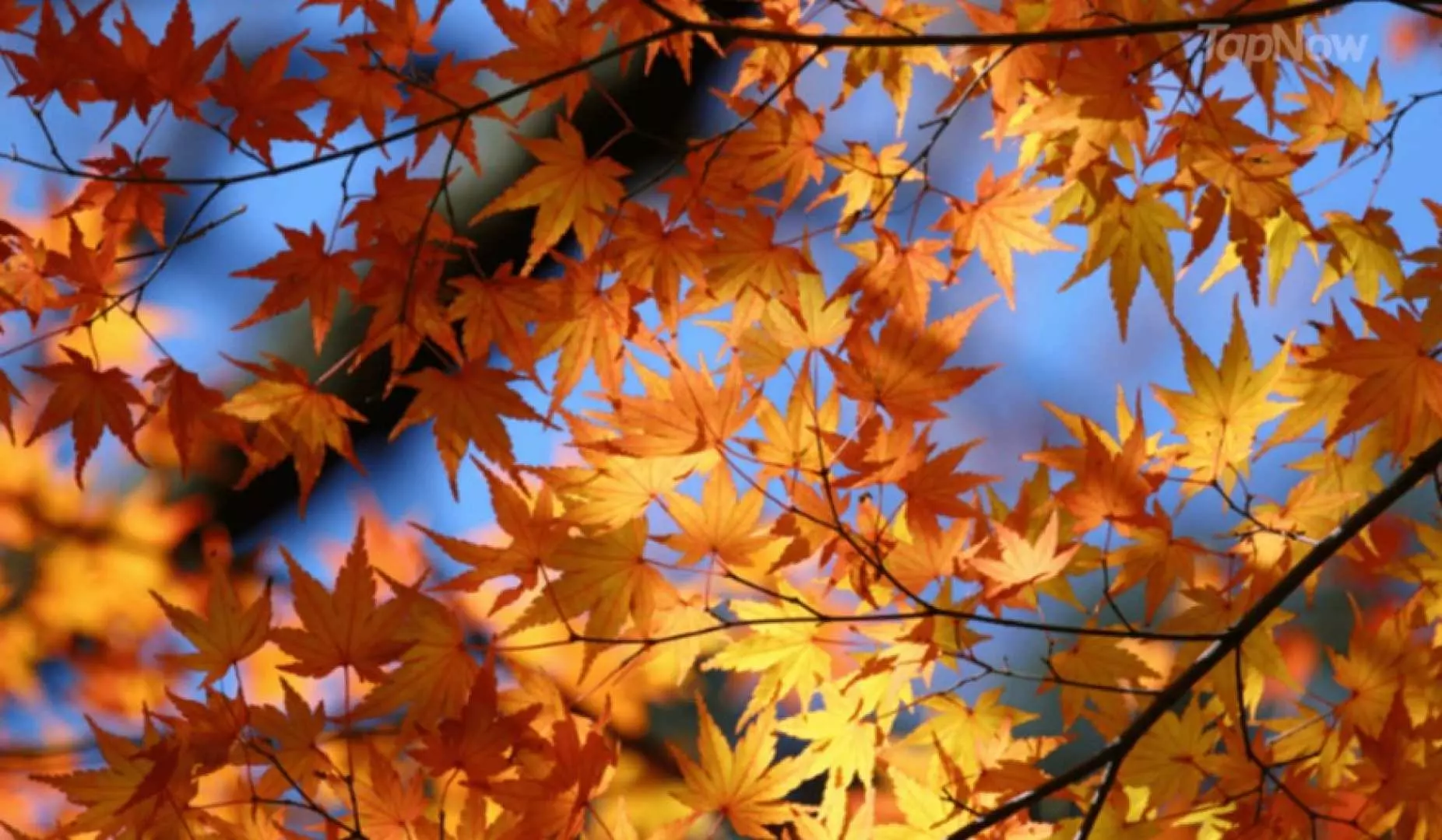 獨家行程 秋高氣爽一日遊
