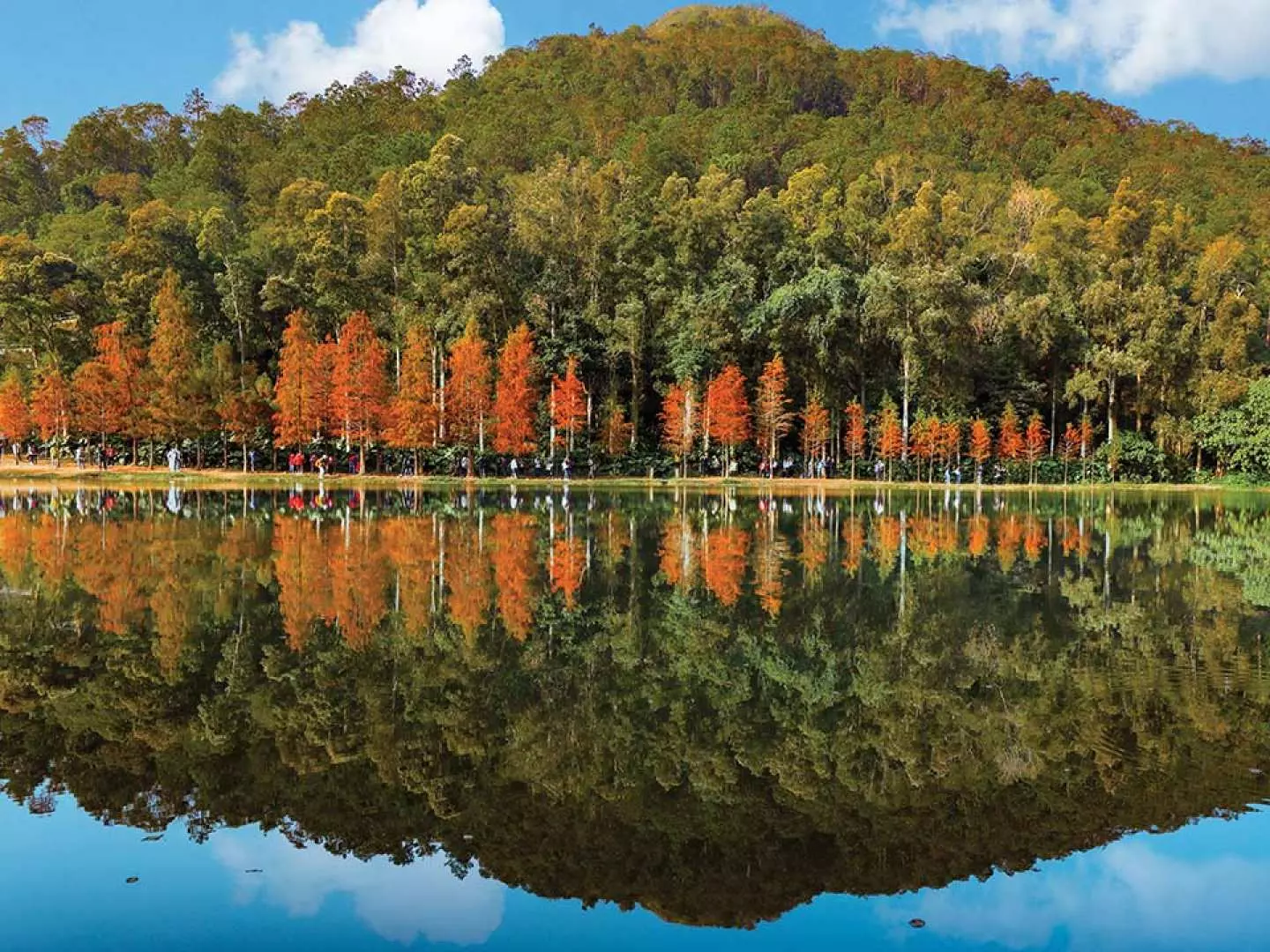 流水響水塘《天空之鏡》