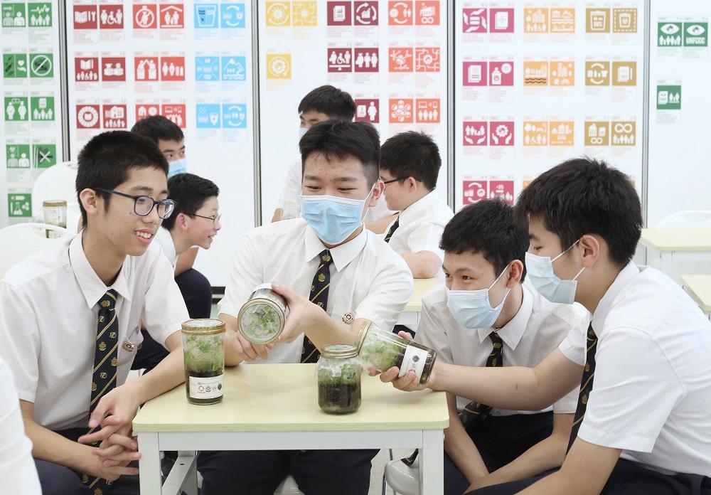 學生拿著有關17個可持續發展目標的研究──「生態瓶」,各自研究。