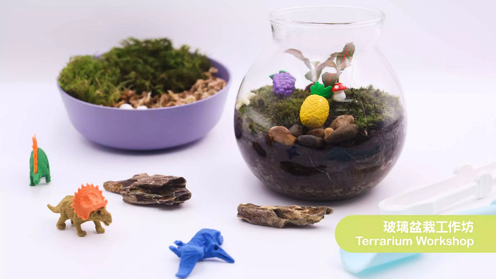 玻璃盆栽工作坊