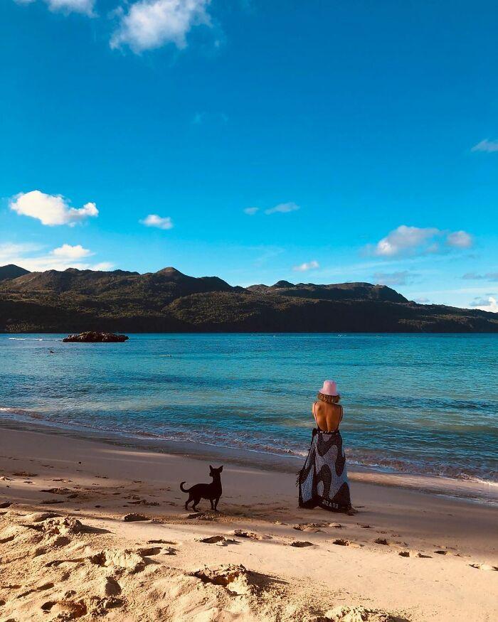 美國達美航空遺失乘客6歲愛犬 失蹤3周後終人狗團圓