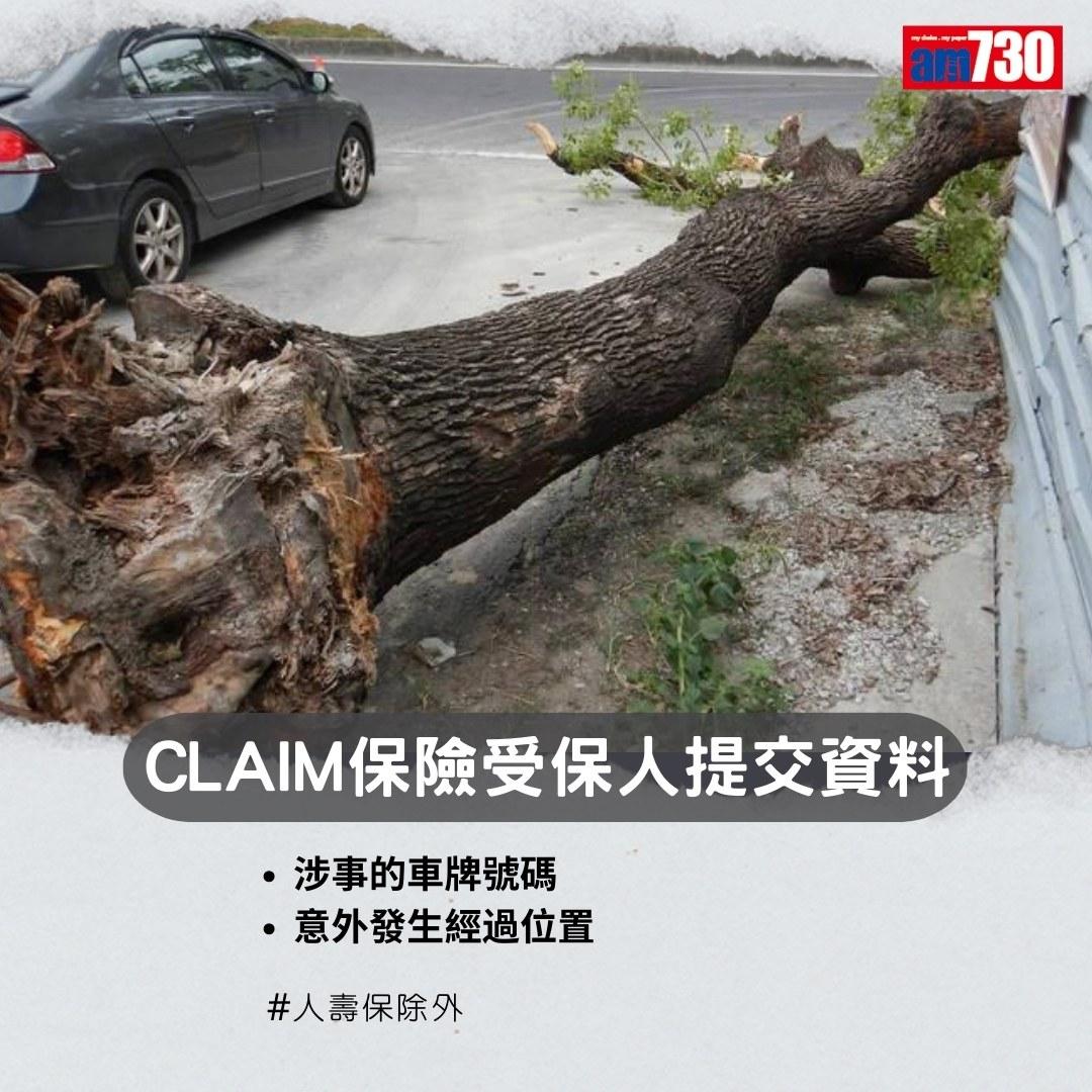 交通意外撞車處理|Claim保險注意事項(am730製圖)