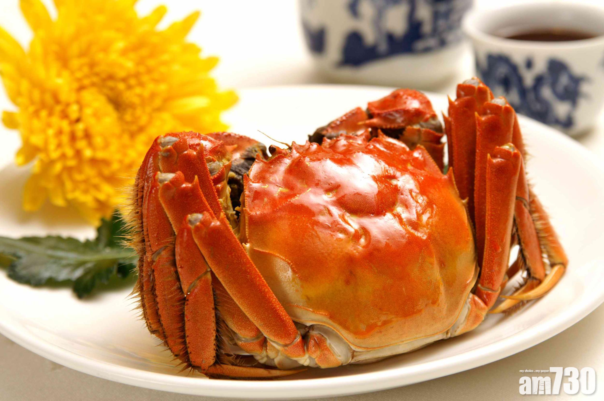 大閘蟹|新手揀蟹3大重點 酒樓總廚教揀蟹最緊要睇隻眼
