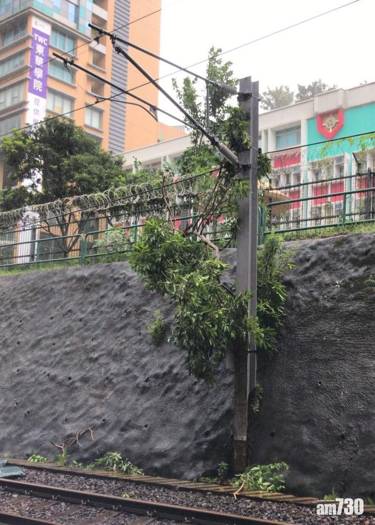 山竹颱風對香港破壞嚴重。(資料圖片)