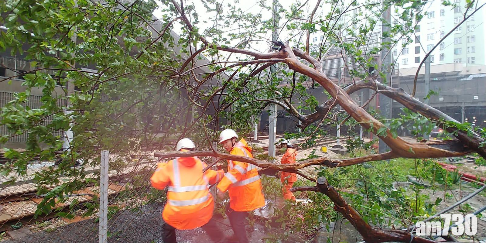 山竹颱風對香港破壞嚴重。(資料圖片)