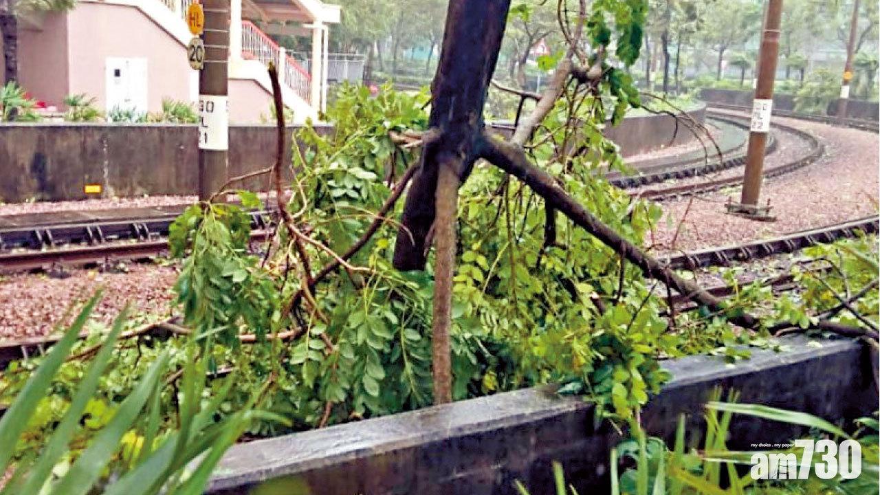 山竹颱風對香港破壞嚴重。(資料圖片)