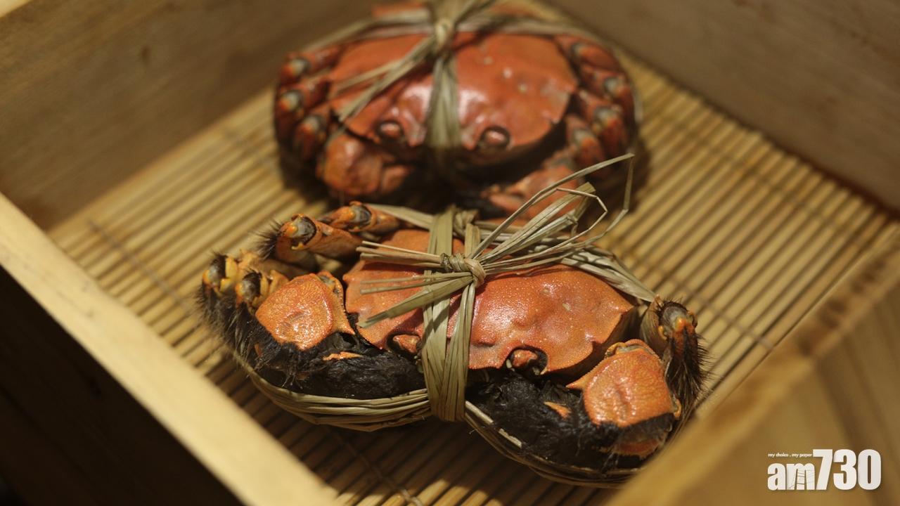 大閘蟹公乸分別|雄性大閘蟹體型豐滿,肥美肉厚。