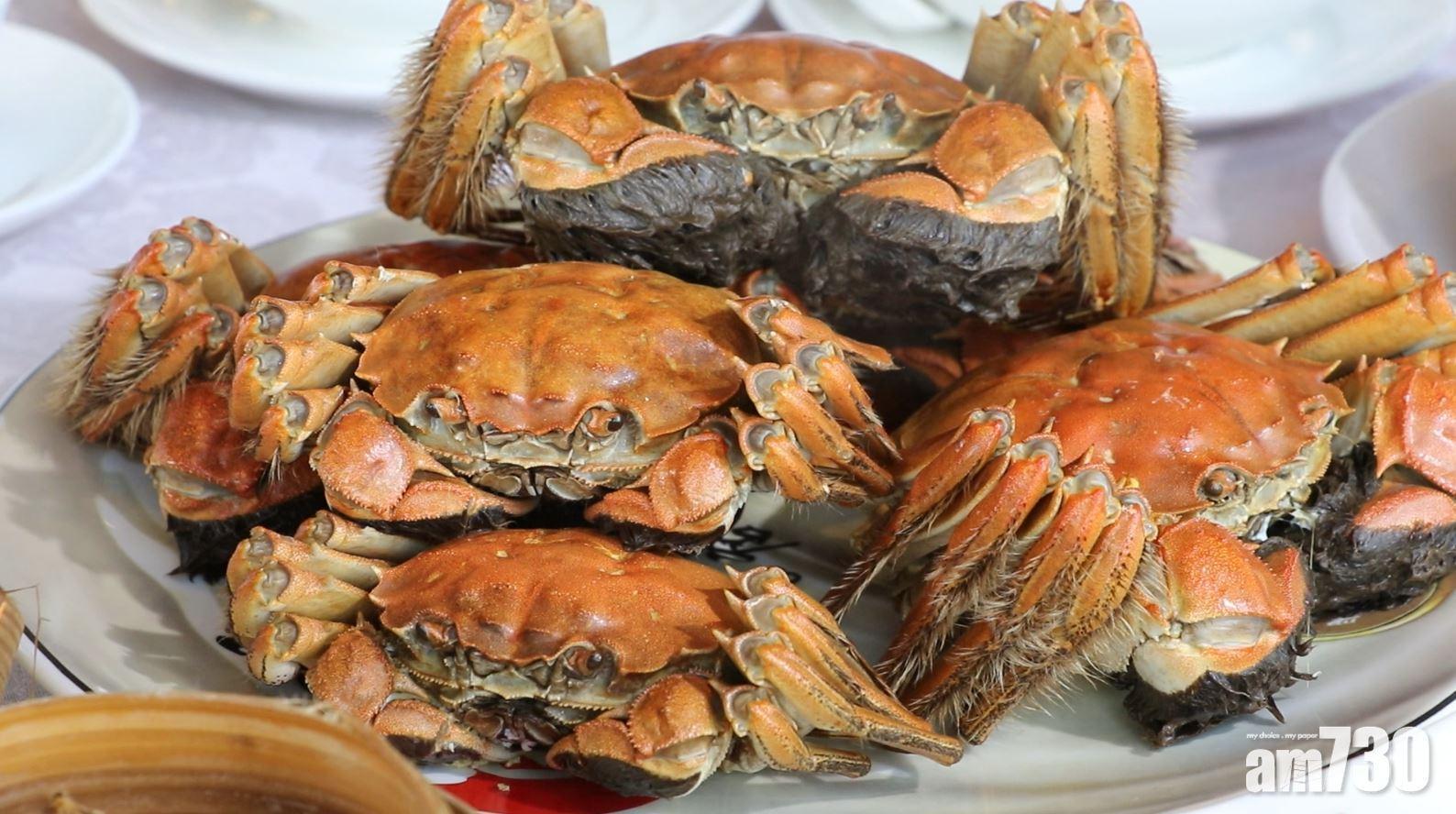 大閘蟹|秋天是大閘蟹當造的季節。(資料圖片)