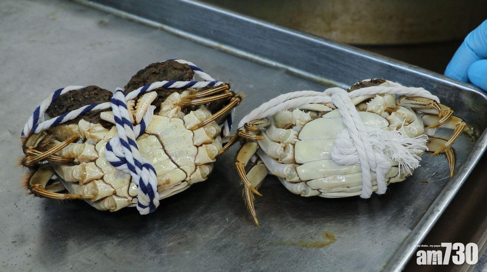 大閘蟹|吃大閘蟹,九月圓臍十月尖,農曆九月先品嘗蟹乸,農曆十月就吃蟹公。(資料圖片)