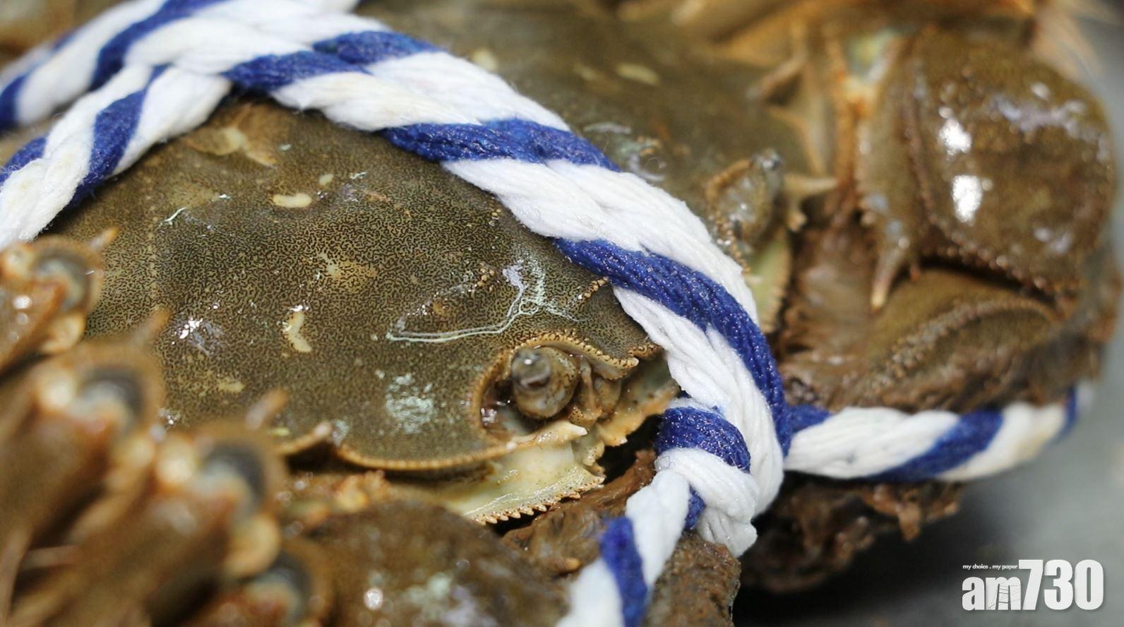 大閘蟹|最緊要眼仔碌碌有反應。(資料圖片)