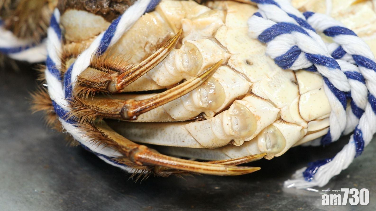大閘蟹|「黃毛金爪」就是靚蟹。(資料圖片)