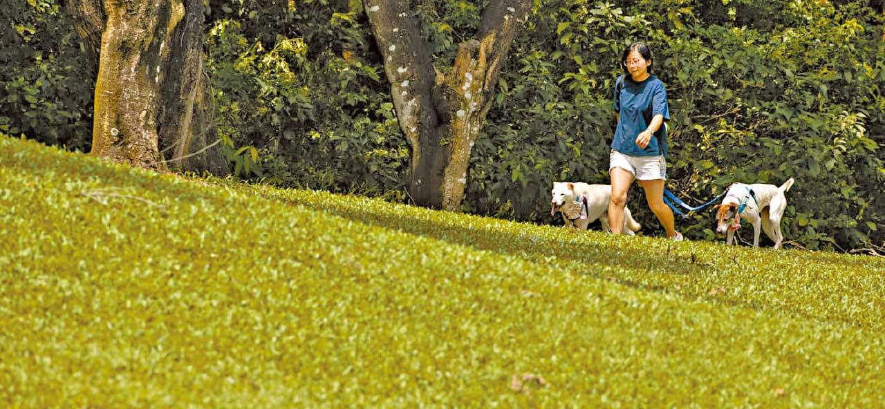 粉嶺高爾夫球場