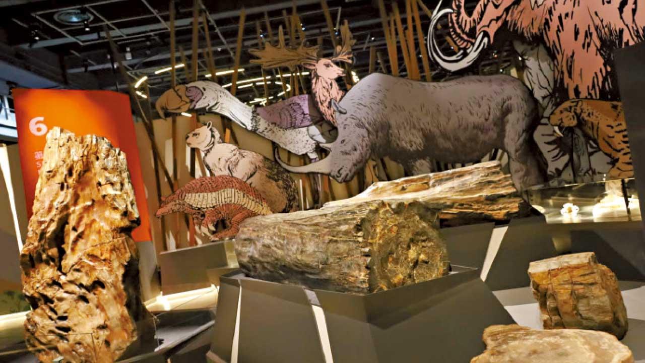 科學館「滅絕.新生」展覽