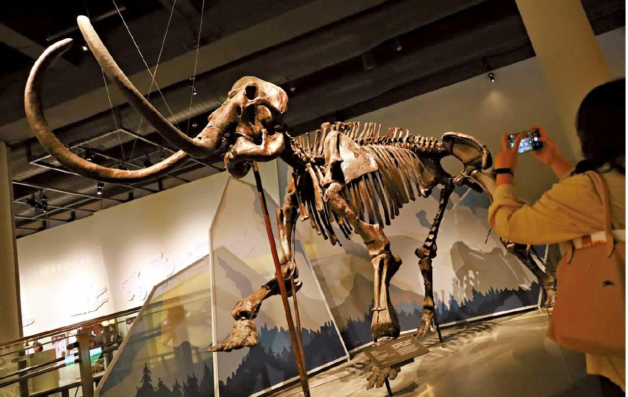 科學館「滅絕.新生」展覽