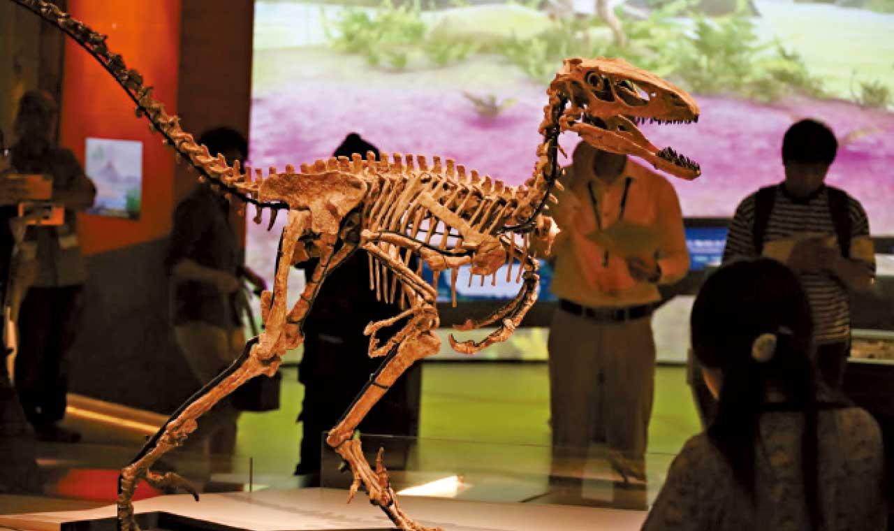 科學館「滅絕.新生」展覽