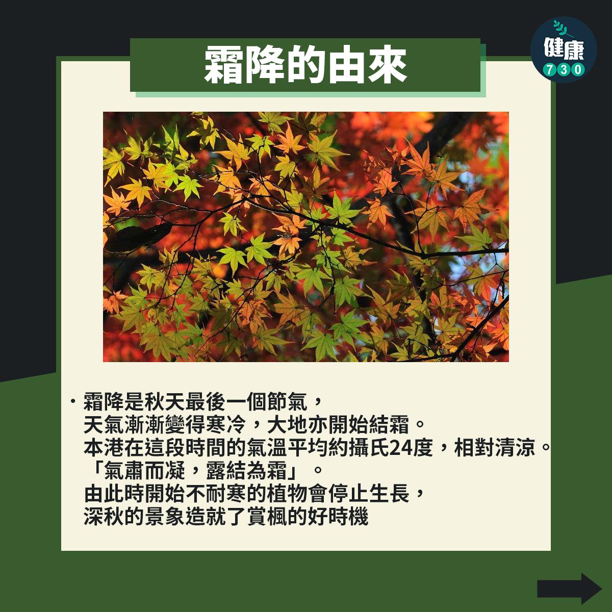 廿四節氣|霜降意思、習俗及食物(am730製圖)