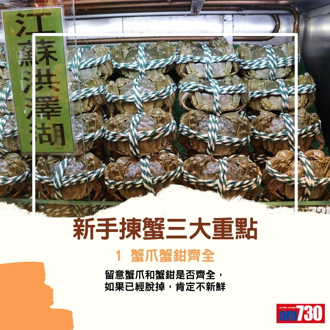 大閘蟹季節來臨,公乸分別及禁忌(am730製圖)