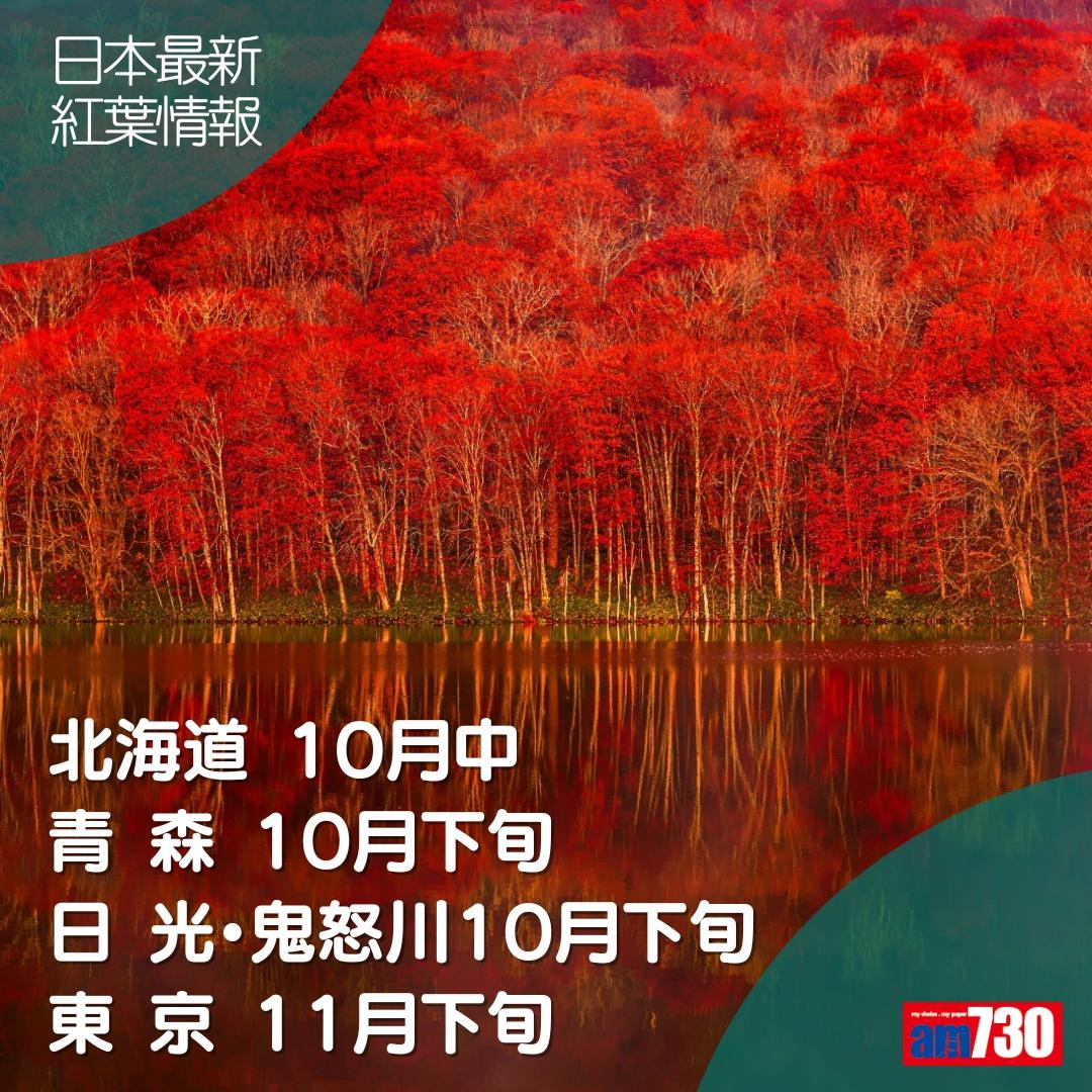2023日本紅葉預測,北海道、東京、和歌山等一覽(am730製圖)