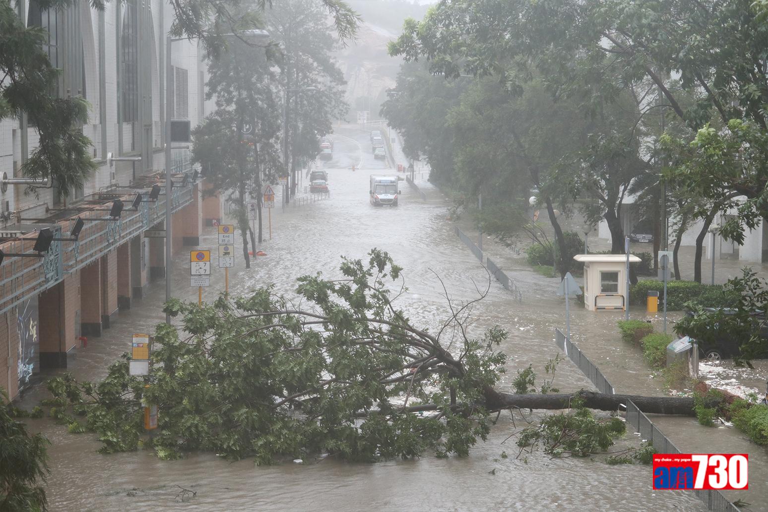 山竹颱風|杏花邨水浸成重災區(資料圖片)