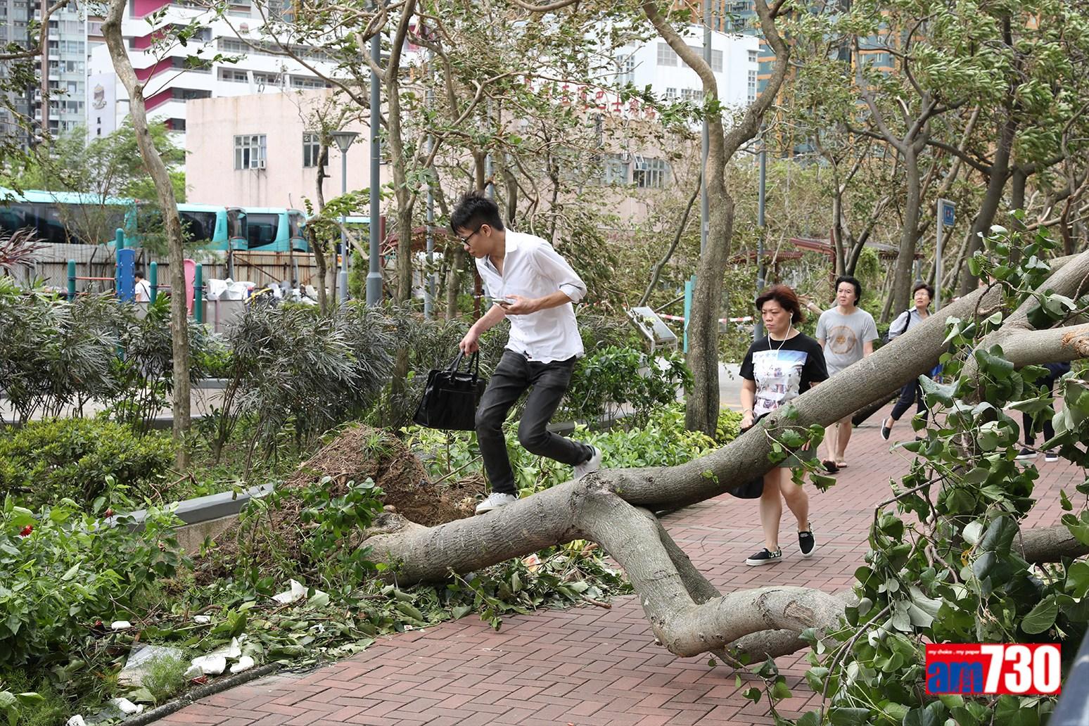 山竹颱風對香港破壞嚴重。(資料圖片)
