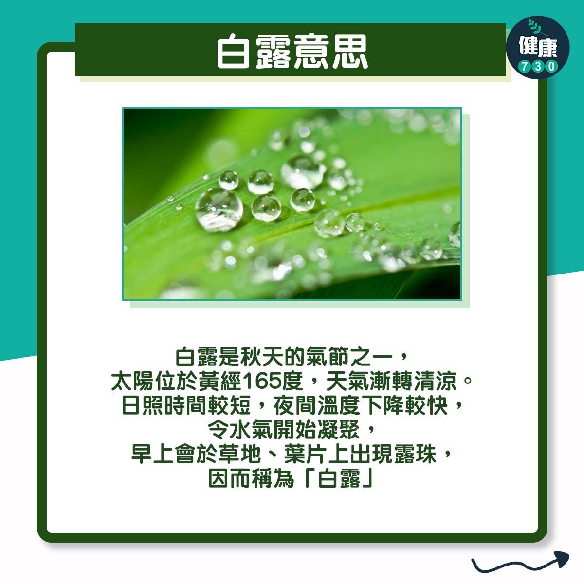 廿四節氣|白露是甚麼意思?(am730製圖)