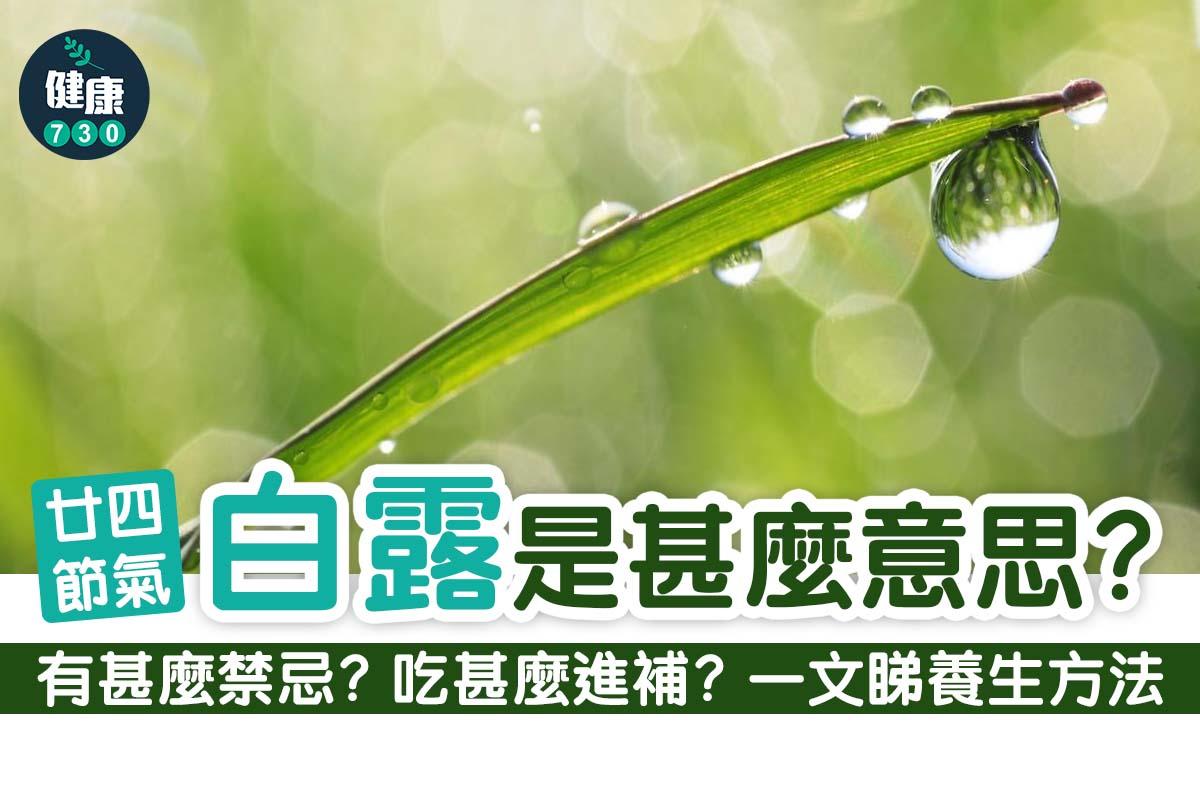 廿四節氣|白露是甚麼意思?(am730製圖)