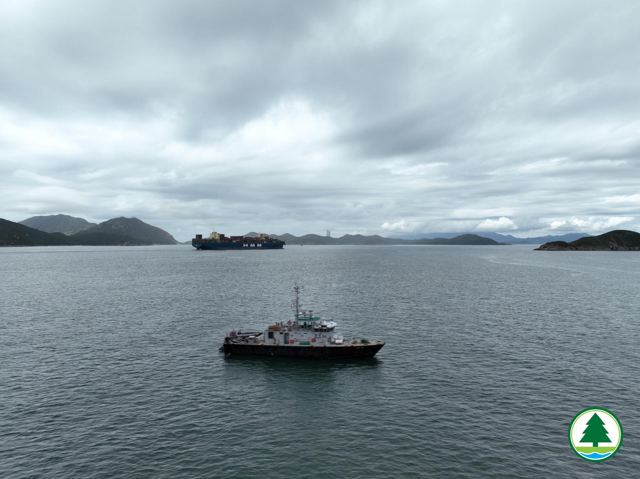 鯨魚|漁護署指,南區發現的鯨魚身上有傷口,強烈勸喻市民切勿追蹤鯨魚。(漁護署)