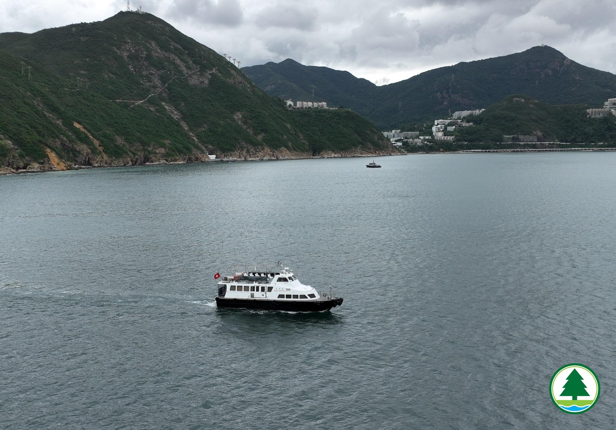 鯨魚|漁護署指,南區發現的鯨魚身上有傷口,強烈勸喻市民切勿追蹤鯨魚。(漁護署)