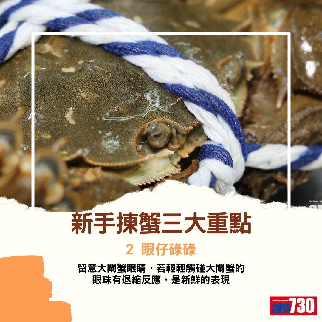 大閘蟹季節來臨,公乸分別及禁忌(am730製圖)