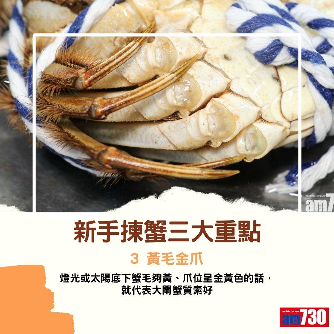 大閘蟹季節來臨,公乸分別及禁忌(am730製圖)
