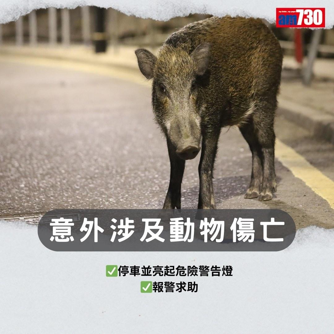 交通意外撞車處理|Claim保險注意事項(am730製圖)