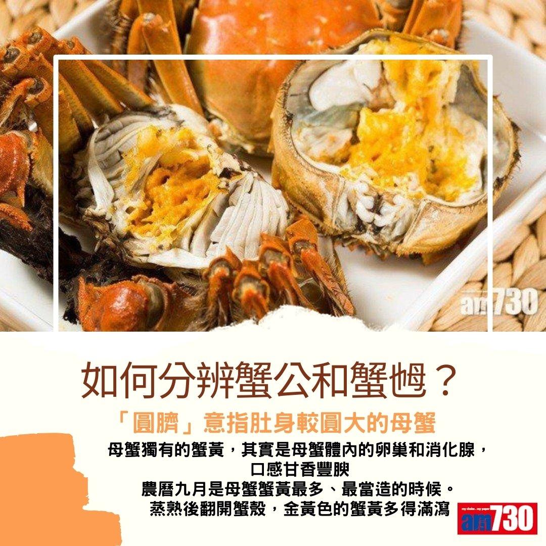 大閘蟹季節來臨,公乸分別及禁忌(am730製圖)