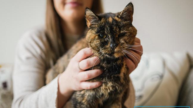 健力士世界紀錄｜現存最老貓Flossie將迎來28歲生日。（Cats Protection）