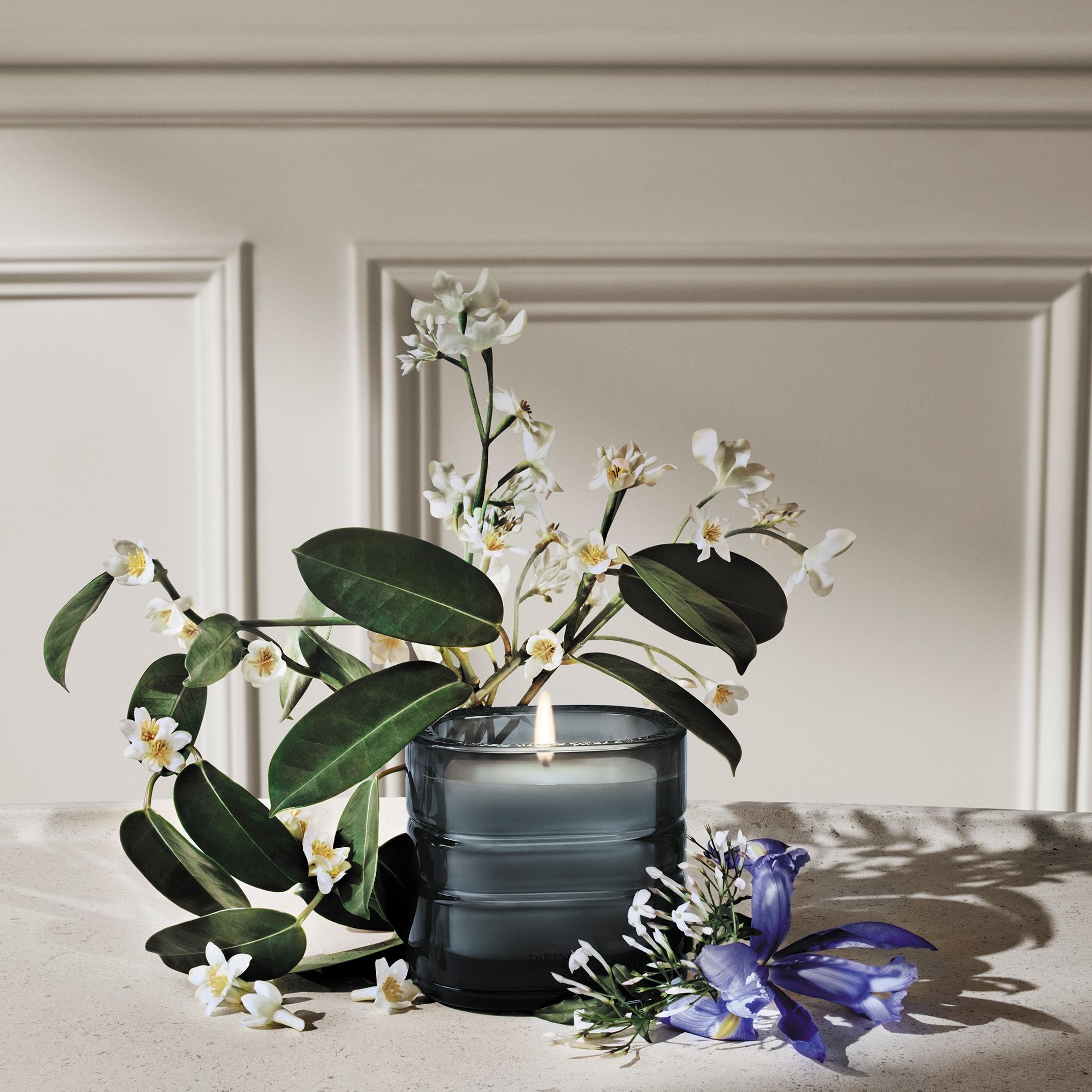 Diptyque香氛之旅|Nymphées Merveilles(仙女奇觀)香氛蠟燭