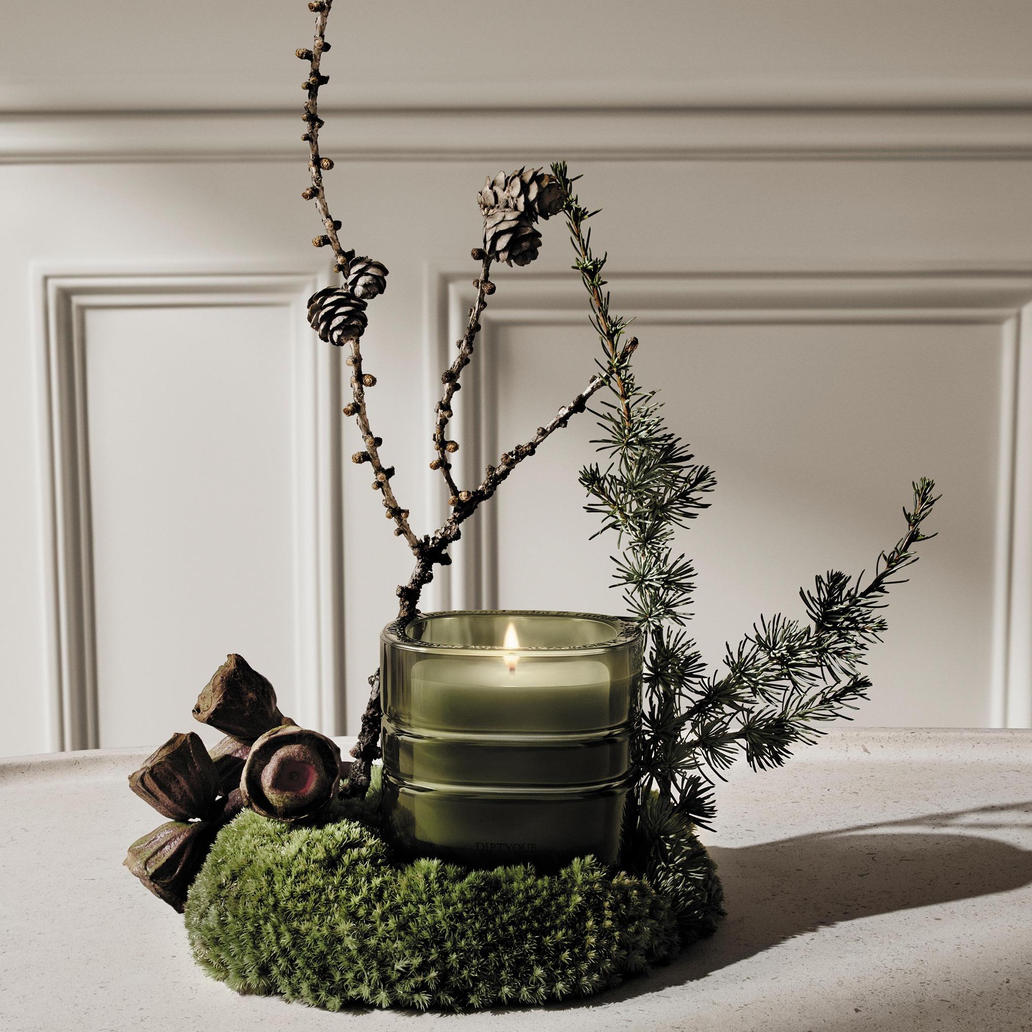 Diptyque 香氛之旅|Temple des Mousses(神社凝香)香氛蠟燭