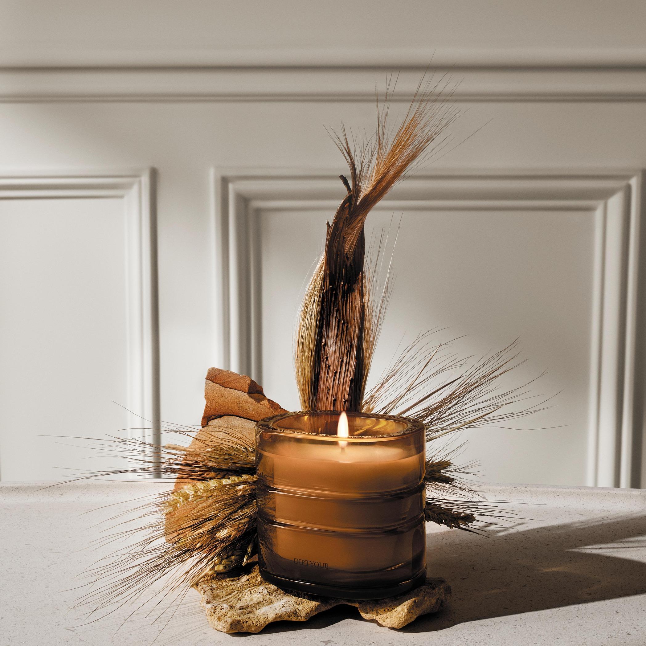 Diptyque 香氛之旅|Terres Blondes(精金地帶)香氛蠟燭