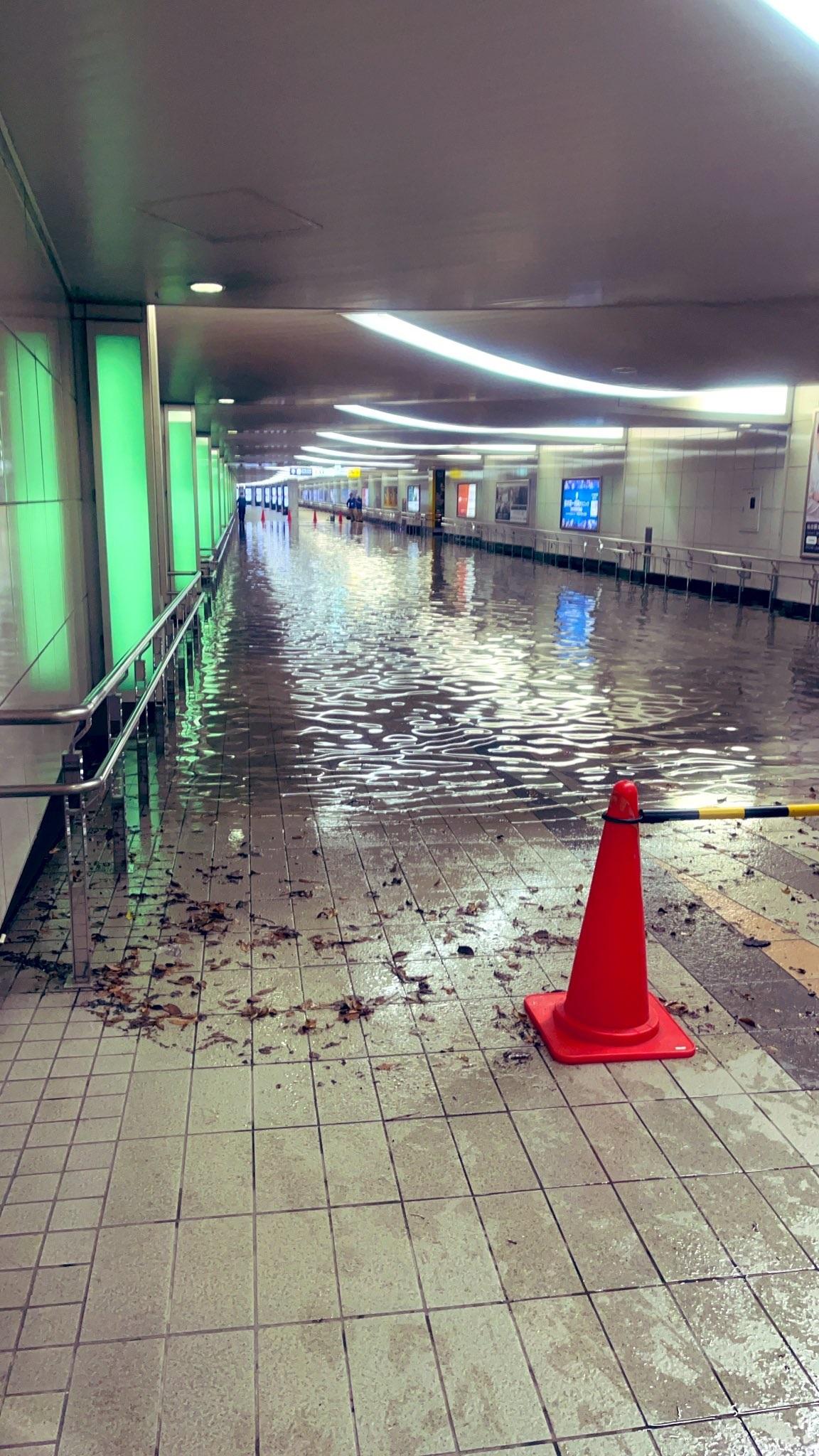 仙台站的地下通道被水淹浸。(X)