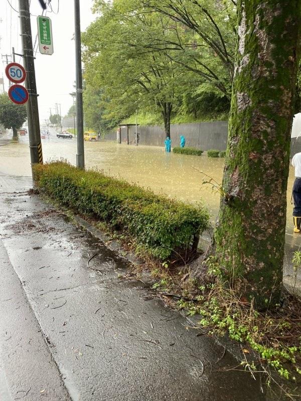 仙台市多處路面因為暴雨而水浸。(X)