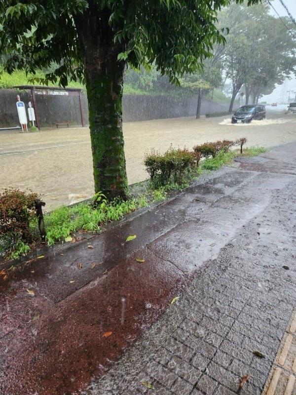 仙台市多處路面因為暴雨而水浸。(X)
