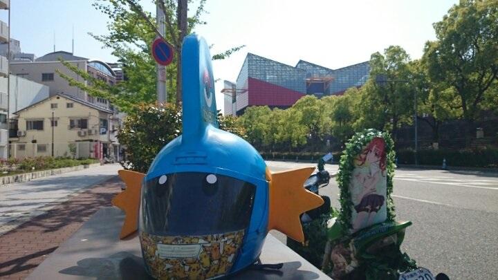 Maro連頭盔都是精靈寶可夢的水躍魚造型。(X)