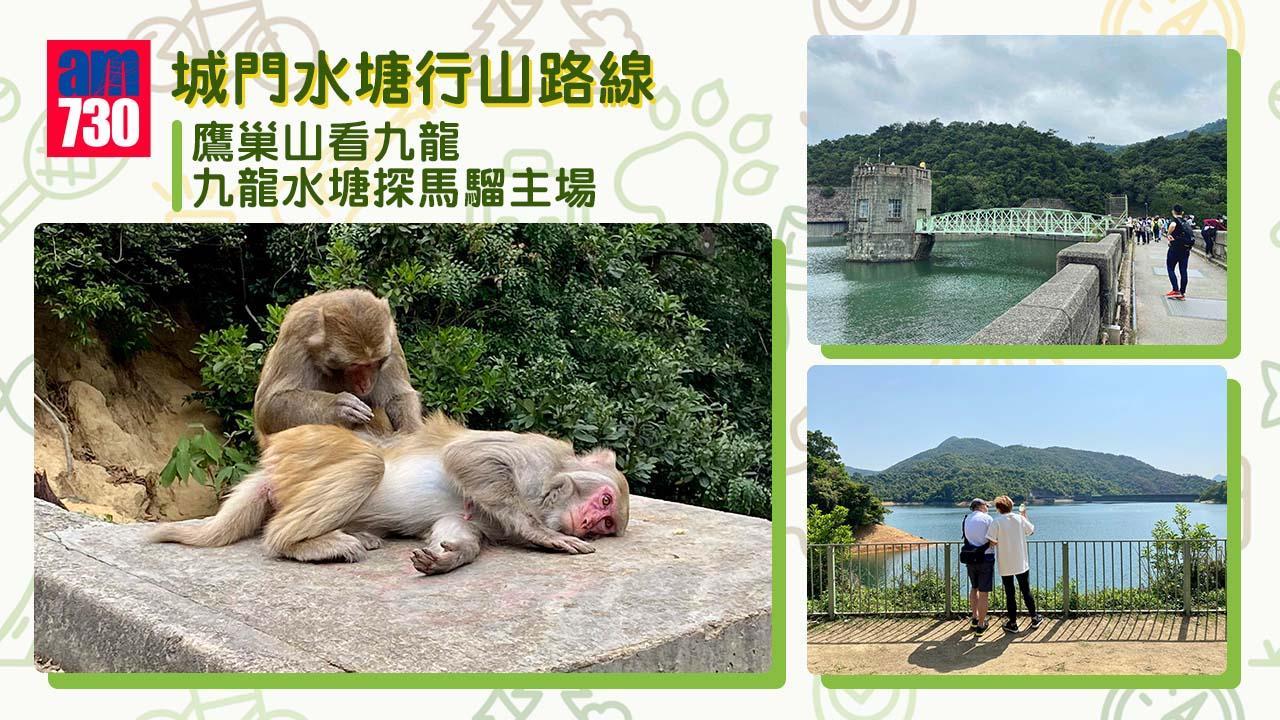 鷹絲山往九龍水塘是城門水塘熱門行山路線(am730製圖)