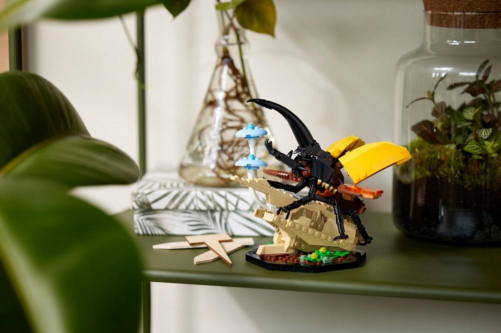 赫克力士長戟大兜蟲