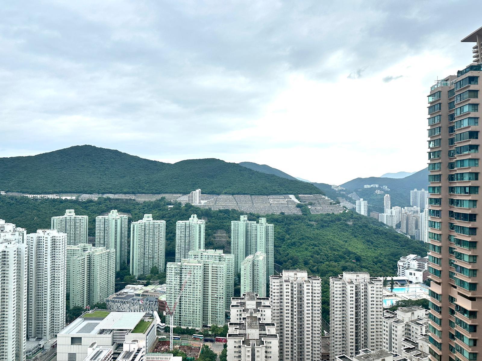 單位座向西南,外望開揚翠綠山景。(代理提供)