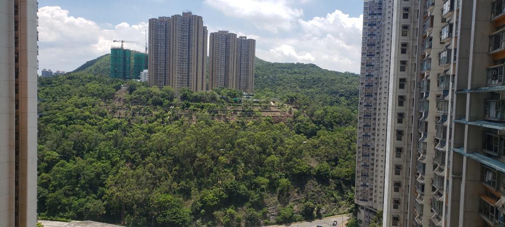 單位面向翠綠山巒,景致十分開揚舒服。(代理提供)