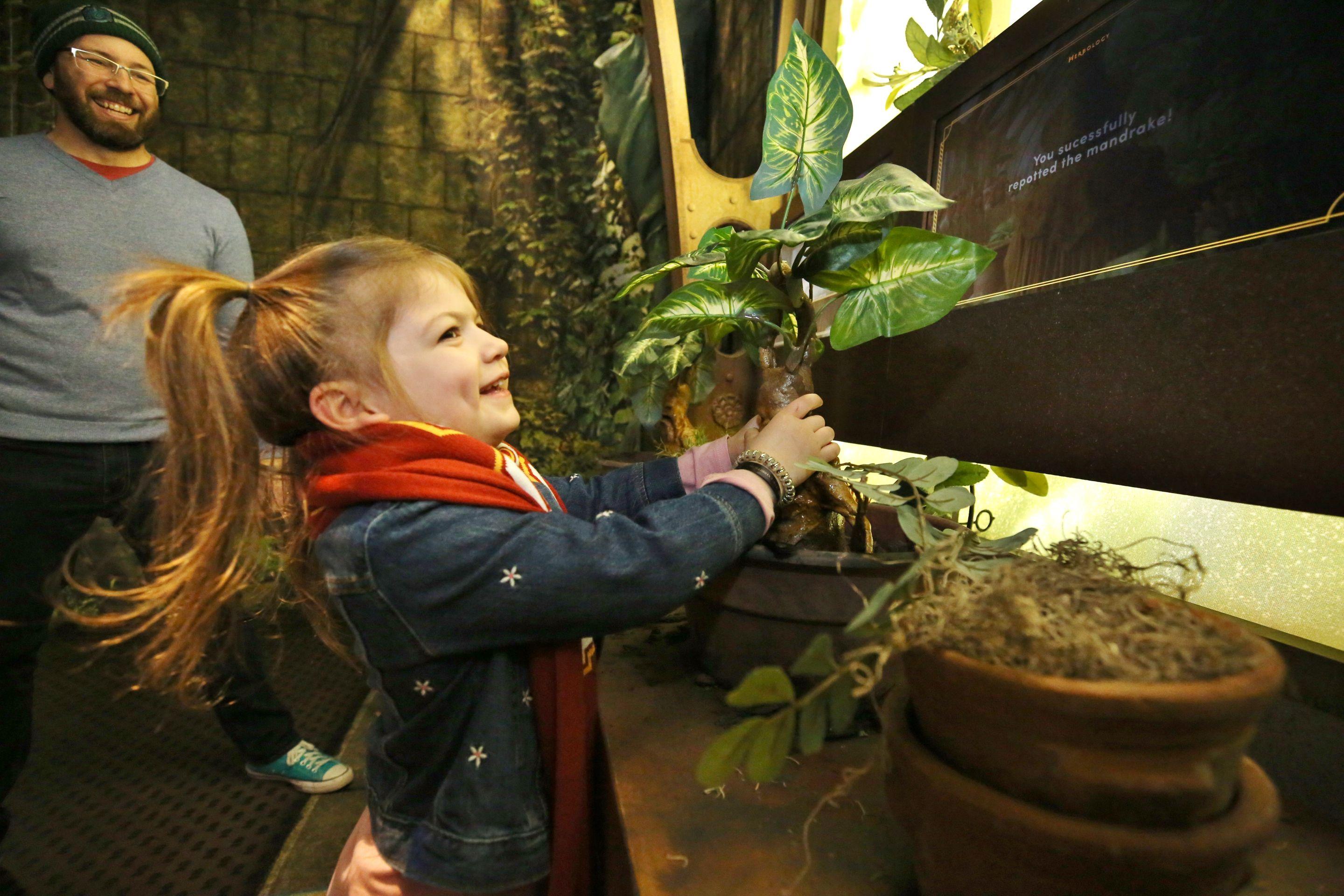 霍格華茲教室 (Hogwarts Classrooms)