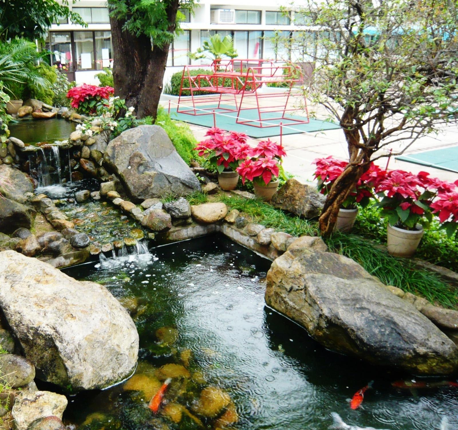 創校近60年九龍塘根德園幼稚園 因家庭移民等因素3年後停辦