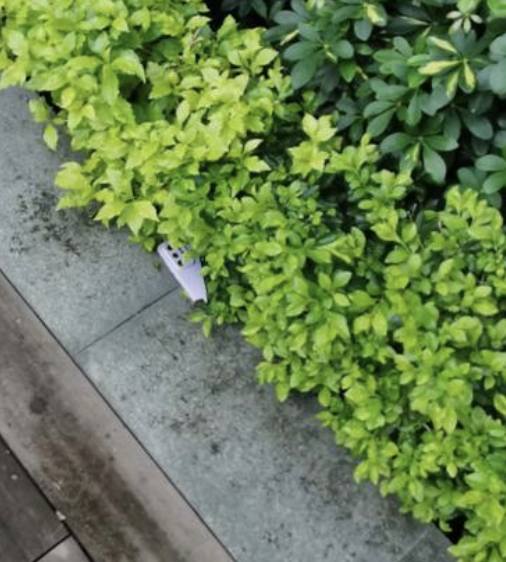 (圖片來源:小紅書@qwert)