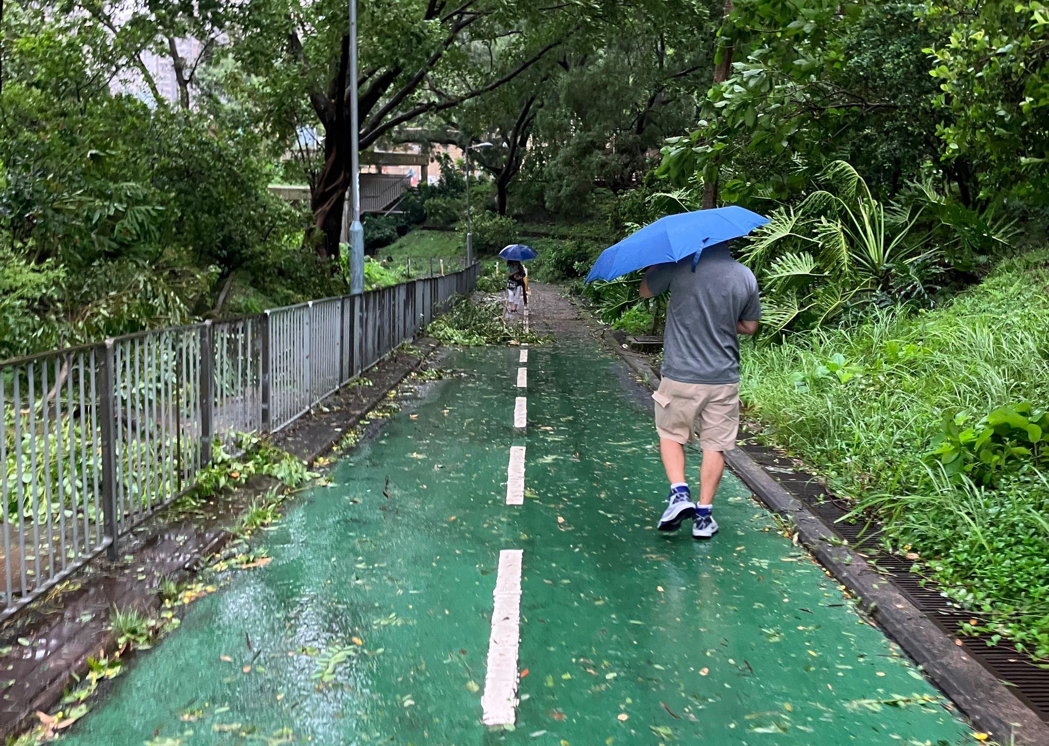樹木倒塌阻礙部份路面,令路人狼狽。(本報攝)