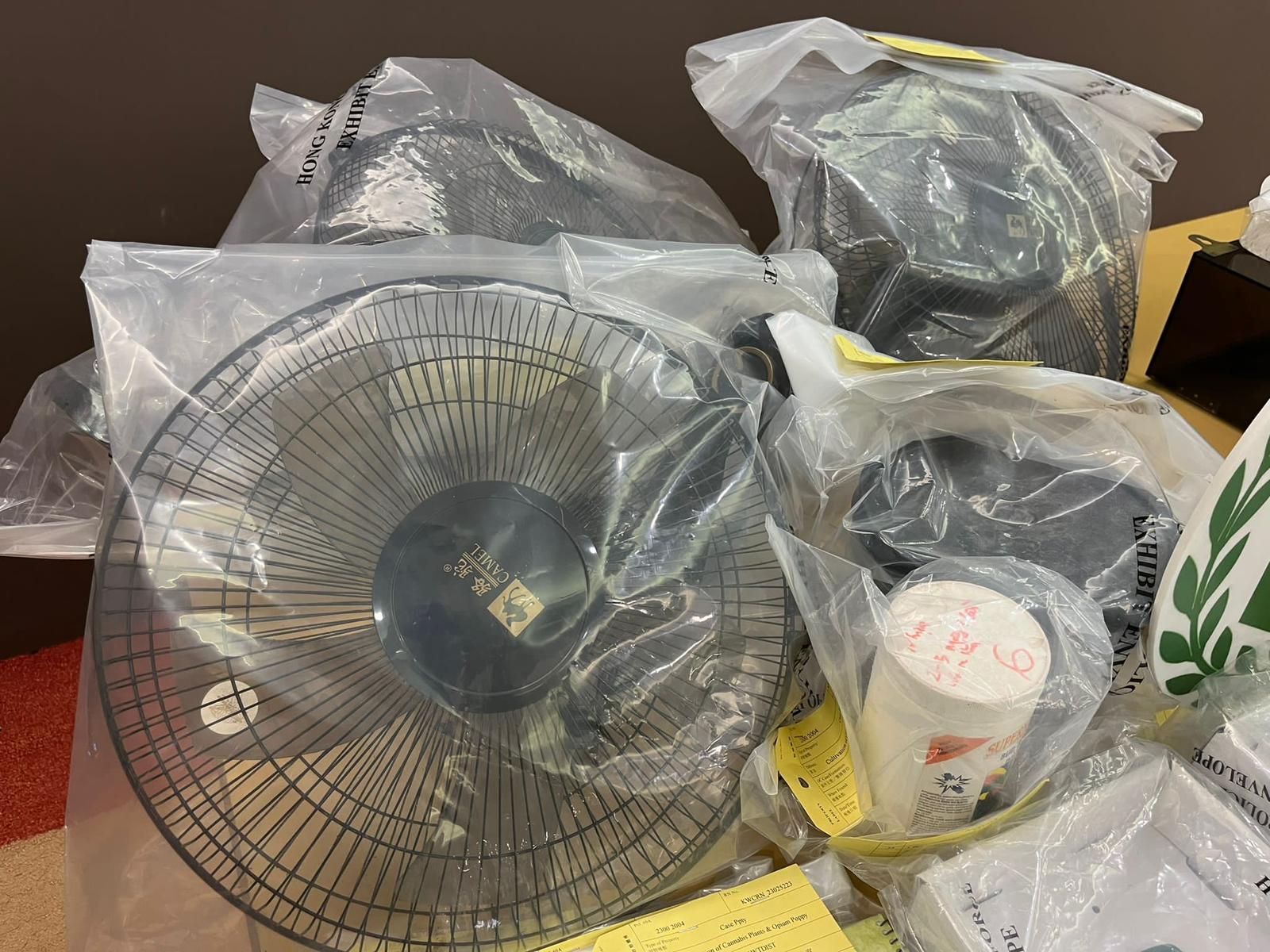 警方搗破兩個工廈大麻種植場 檢近2千萬元大麻拘3人