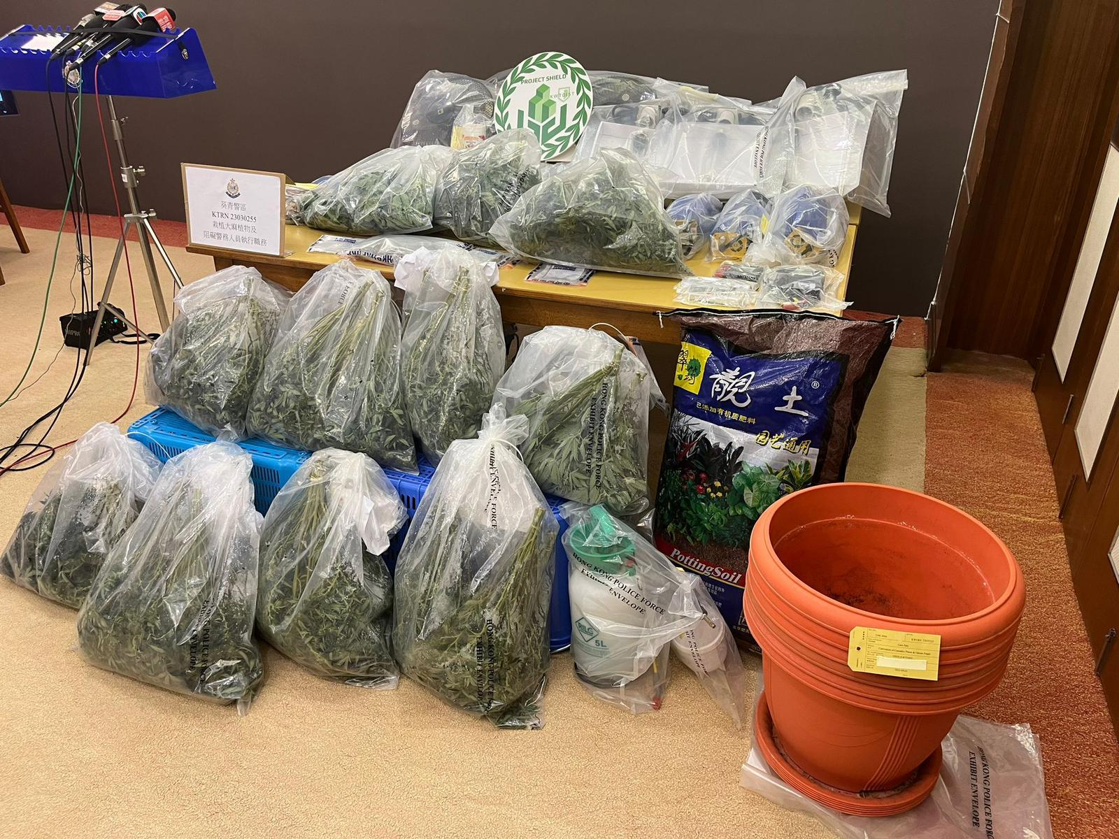 警方搗破兩個工廈大麻種植場 檢近2千萬元大麻拘3人